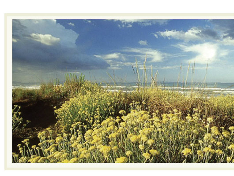 Blog One Image