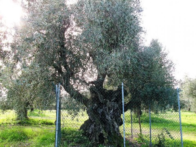 Blog One Image