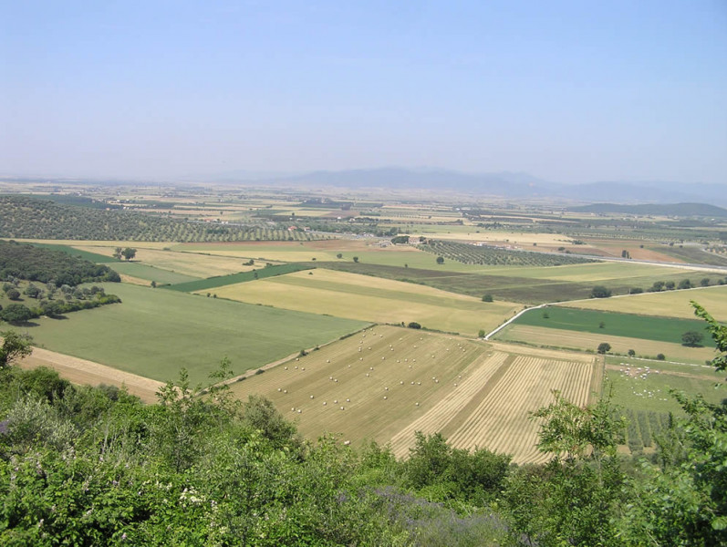 Blog One Image