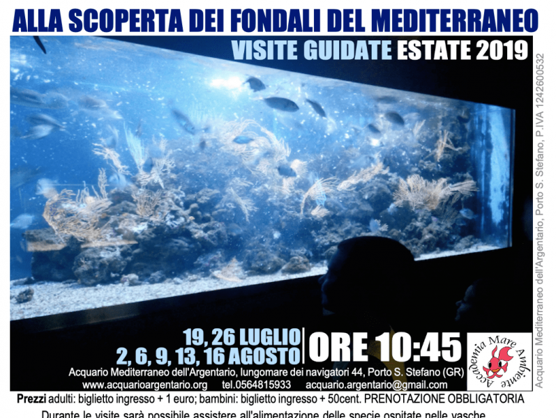 Blog One Image