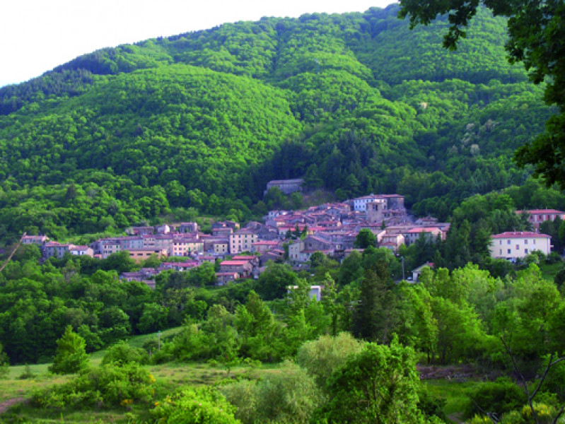 Montieri