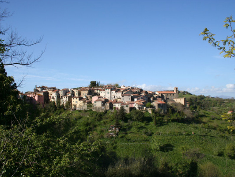 Scansano